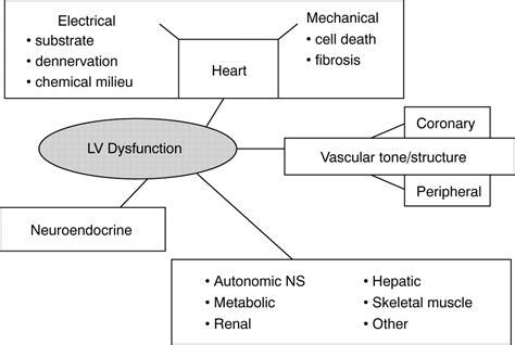 Left ventricular dysfunction: causes, natural history, 